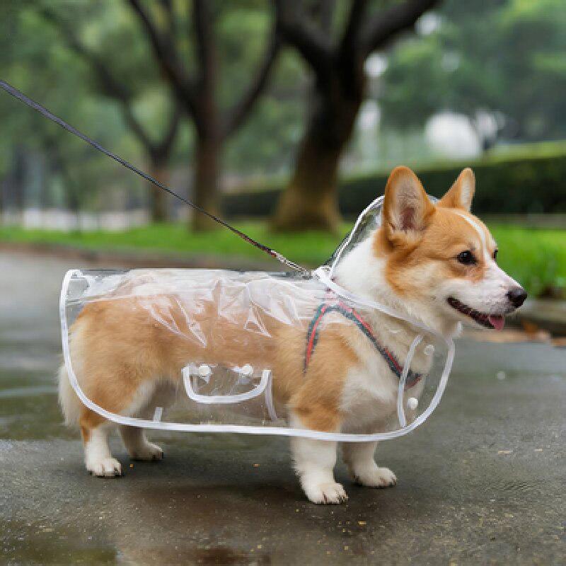 Dog Raincoat Cape Pet Raincoat Puppy Transparent Rain Cape Pet Clothes Dog Waterproof and Rainproof XL прозорий/білий
Dog Raincoat Cape Pet Raincoat Puppy Transparent Rain Cape Pet Clothes Dog Waterproof and Rainproof XL прозорий/білий