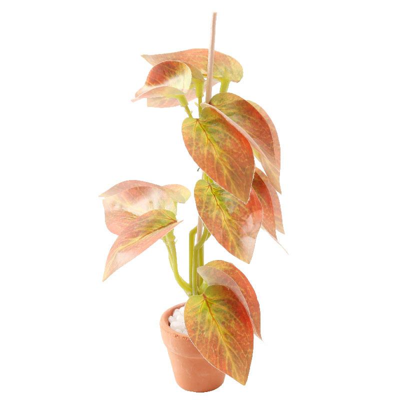 1/12 Dollhouse Simulation Green Plants Bonsai Model Dollhouse Scene Decoration Micro Landscape Garden Bonsai Ornament A5
1/12 Dollhouse Simulation Green Plants Bonsai Model Dollhouse Scene Decoration Micro Landscape Garden Bonsai Ornament A5