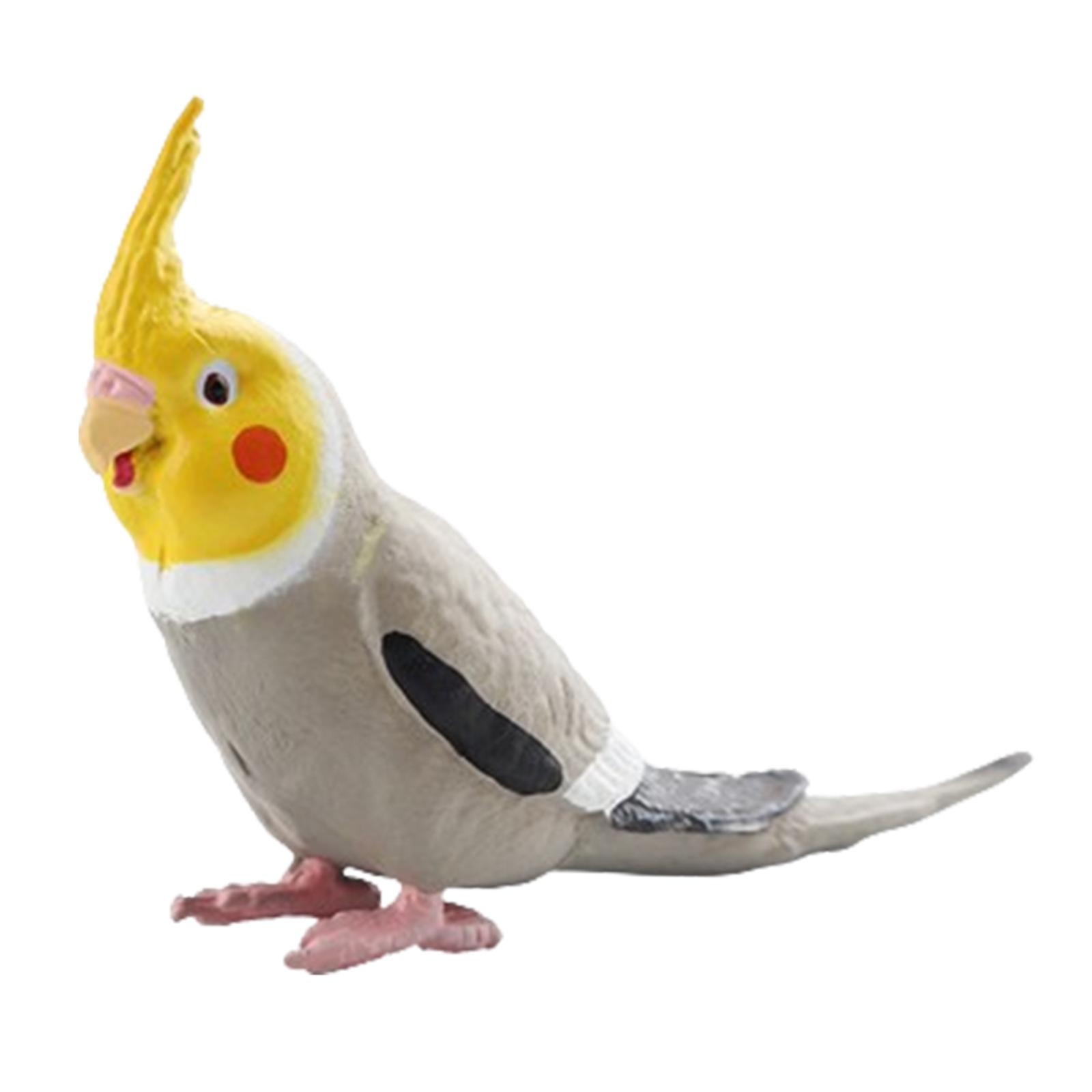 Garden Bird Ornament Cockatiel Bird Figurines Science Animals Learning Parrot Figurines Toy for DIY Landscaping Bath Toys
Garden Bird Ornament Cockatiel Bird Figurines Science Animals Learning Parrot Figurines Toy for DIY Landscaping Bath Toys