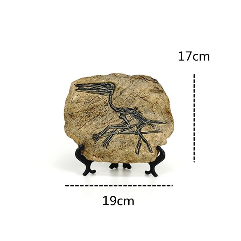 NORTHEUINS Resin Dinosaur Fossil Figurines Retro Animal Statue Miniature Interior Living Room Decor Souvenirs for Home Gifts
NORTHEUINS Resin Dinosaur Fossil Figurines Retro Animal Statue Miniature Interior Living Room Decor Souvenirs for Home Gifts