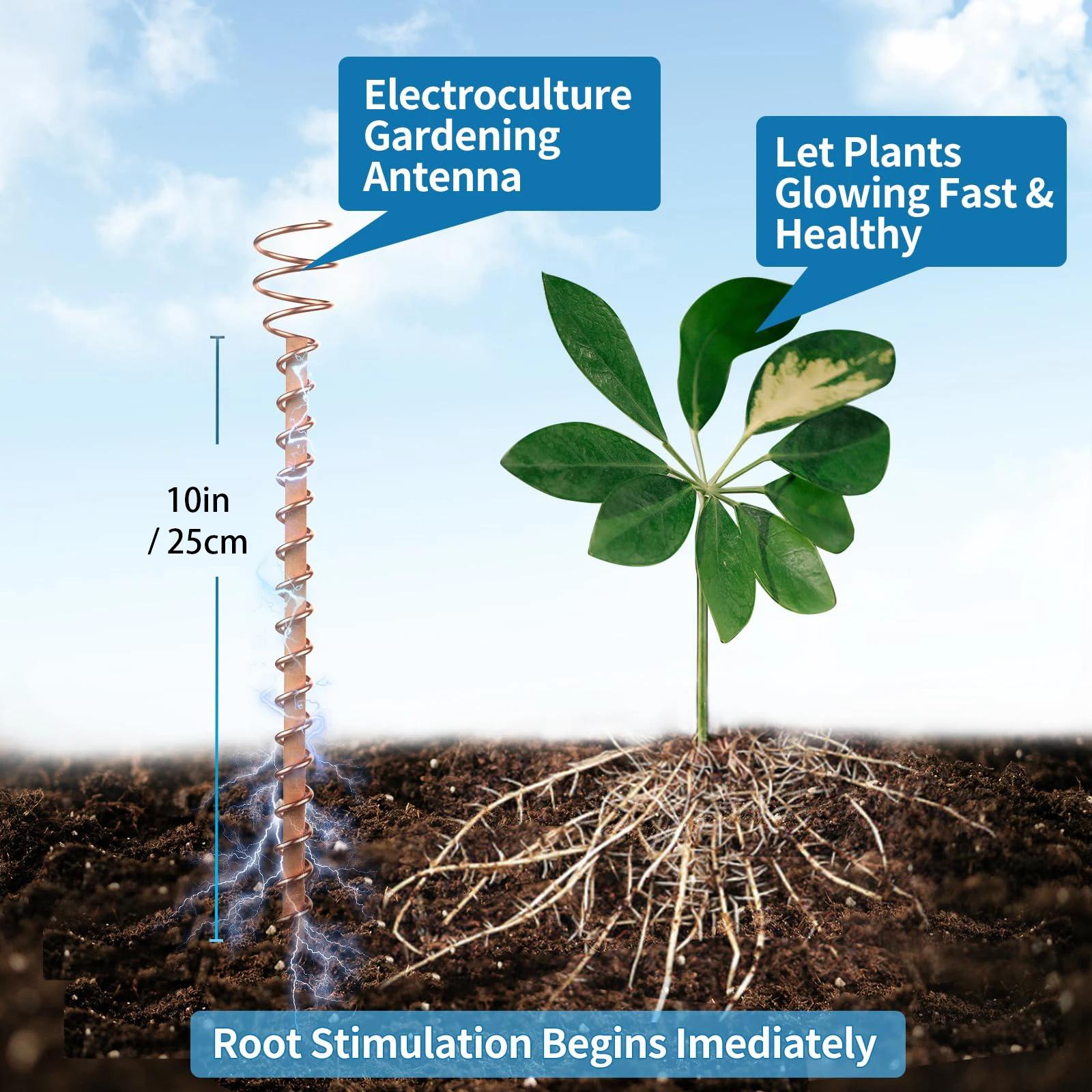 1/2/3pcs Electroculture Plant Stakes Gardening Copper Coil Antennas for Growing Garden Plants and Vegetables Using Ether Energy
1/2/3pcs Electroculture Plant Stakes Gardening Copper Coil Antennas for Growing Garden Plants and Vegetables Using Ether Energy
