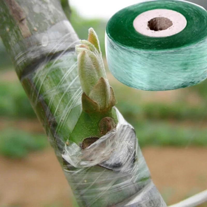 100mx 2cm/Roll Tape Pruning Stretch Graft Budding Barrier Floristry Plant Fruit Tree Nursery Garden Plants Tools Grafting Film 1Pcs Random Color
100mx 2cm/Roll Tape Pruning Stretch Graft Budding Barrier Floristry Plant Fruit Tree Nursery Garden Plants Tools Grafting Film 1Pcs Random Color