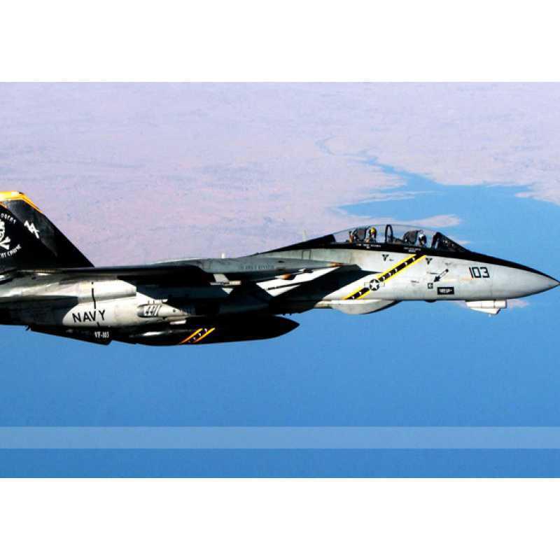 Free Shipping - Male Cat Fighter Jet Poster Decorative Kraft Paper Framed Wall Art
Free Shipping - Male Cat Fighter Jet Poster Decorative Kraft Paper Framed Wall Art