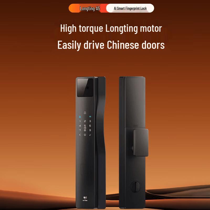 DESMAN Longting A5 Full-Automatic Face Recognition Smart Door Lock
DESMAN Longting A5 Full-Automatic Face Recognition Smart Door Lock