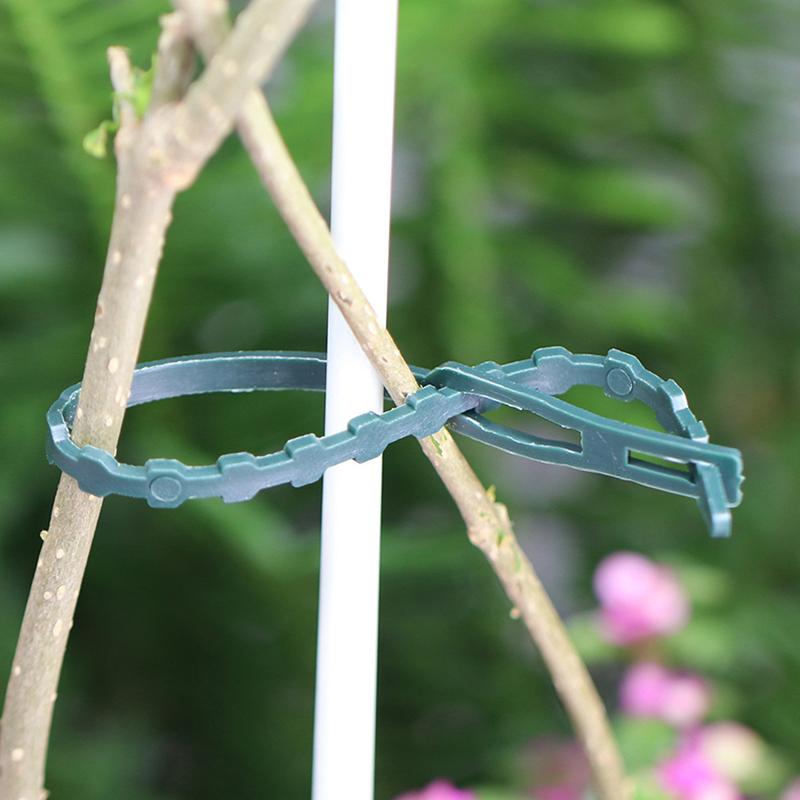 50Pcs Garden Cable Ties Plant Support Shrubs Fastener Reusable Tree Locking Adjustable Plastic Cable Ties Plant Straps Tools
50Pcs Garden Cable Ties Plant Support Shrubs Fastener Reusable Tree Locking Adjustable Plastic Cable Ties Plant Straps Tools