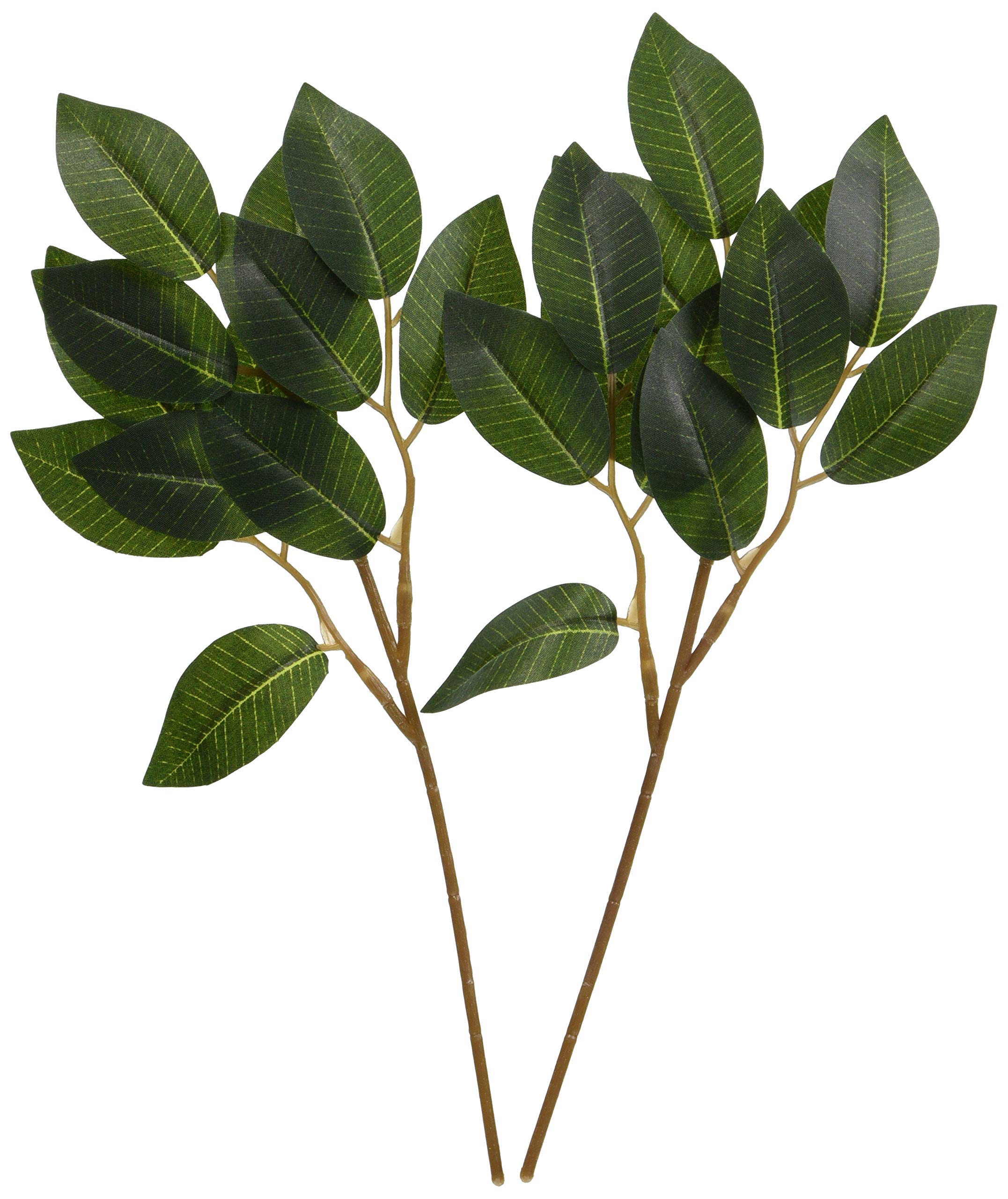 Kamidana no Sato Shingu Сакаки Искусственный цветок Мини Пара из 2 Зеленый 29 x 15 x 0.5см зелёный
Kamidana no Sato Shingu Сакаки Искусственный цветок Мини Пара из 2 Зеленый 29 x 15 x 0.5см зелёный