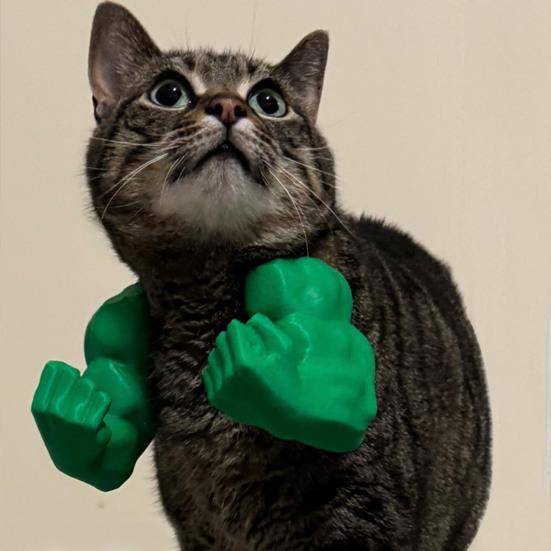 Cat Muscle Arm 3D Printed Neck Arm with Muscle Pet Cosplay Costume Accessories for Halloween Birthday Party Supplies зелений
Cat Muscle Arm 3D Printed Neck Arm with Muscle Pet Cosplay Costume Accessories for Halloween Birthday Party Supplies зелений