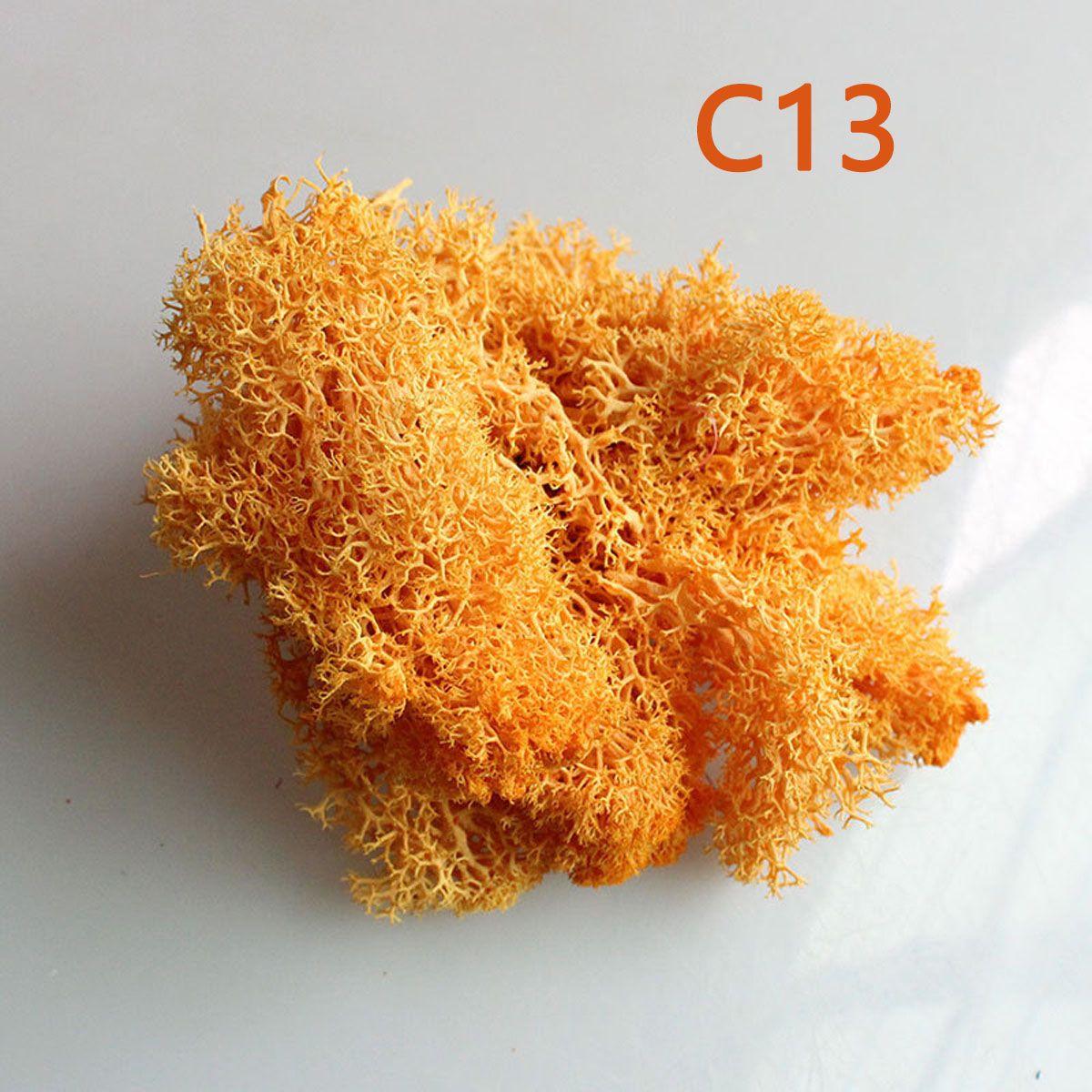 Christmas Flower Wedding Reindeer Moss Artificial plant Micro Landscape Eternal Life Moss C13
Christmas Flower Wedding Reindeer Moss Artificial plant Micro Landscape Eternal Life Moss C13