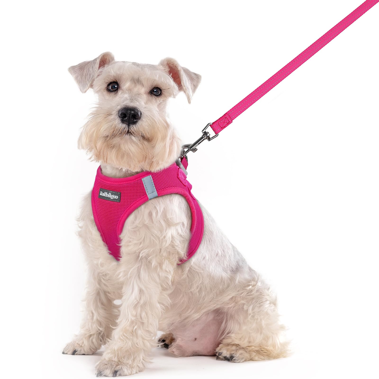 Rabbitgoo Dog Harness and Leash Set for Extra and Large Soft Velcro and Reflective Gentle on the Nighttime Easy to Put on and Take Hand Safe for and
Rabbitgoo Dog Harness and Leash Set for Extra and Large Soft Velcro and Reflective Gentle on the Nighttime Easy to Put on and Take Hand Safe for and