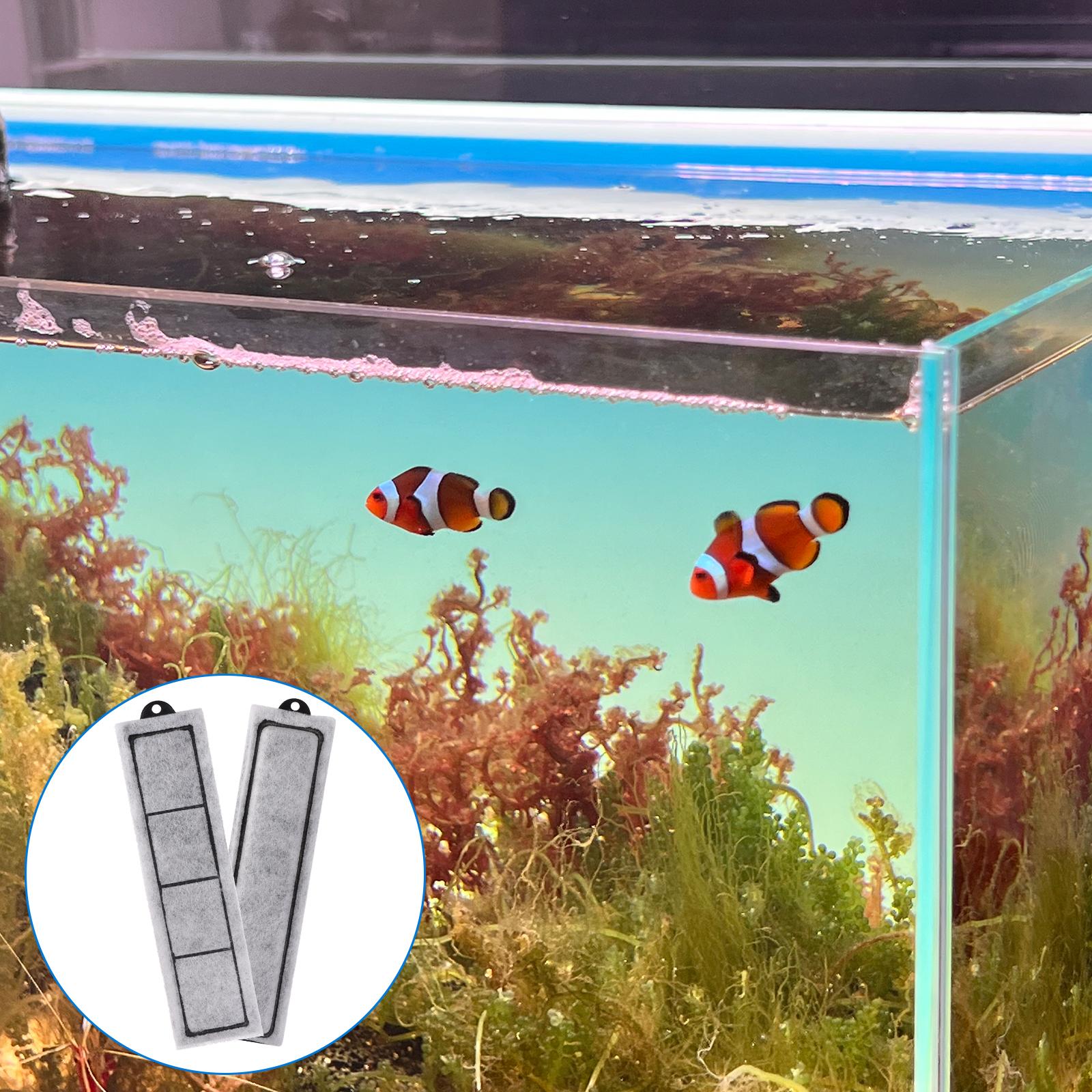 24Pack Rf-S Filter Cartridges For Top Fin Retreat Rf-S Filter,Aquarium Filters Replacement Small Filter Cartridges Refill
24Pack Rf-S Filter Cartridges For Top Fin Retreat Rf-S Filter,Aquarium Filters Replacement Small Filter Cartridges Refill