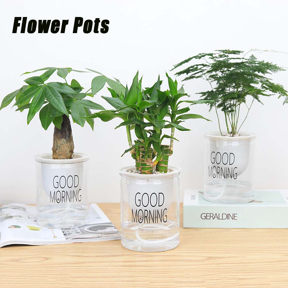 Decoration Hydroponic Garden Supplies Green Dill Plant Pot Flower Pots Planters Home Decor A 12CM
Decoration Hydroponic Garden Supplies Green Dill Plant Pot Flower Pots Planters Home Decor A 12CM