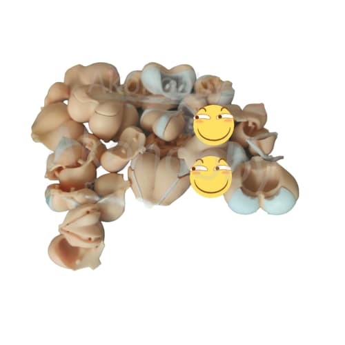 Set of 23 White Plastic Modification Parts, Chest and Body Parts for AKO, Shura, Archer, Ninja, Kizuna, Tamamo no Mae, Susanoo, Amaterasu, Regalia, Wh
Set of 23 White Plastic Modification Parts, Chest and Body Parts for AKO, Shura, Archer, Ninja, Kizuna, Tamamo no Mae, Susanoo, Amaterasu, Regalia, Wh