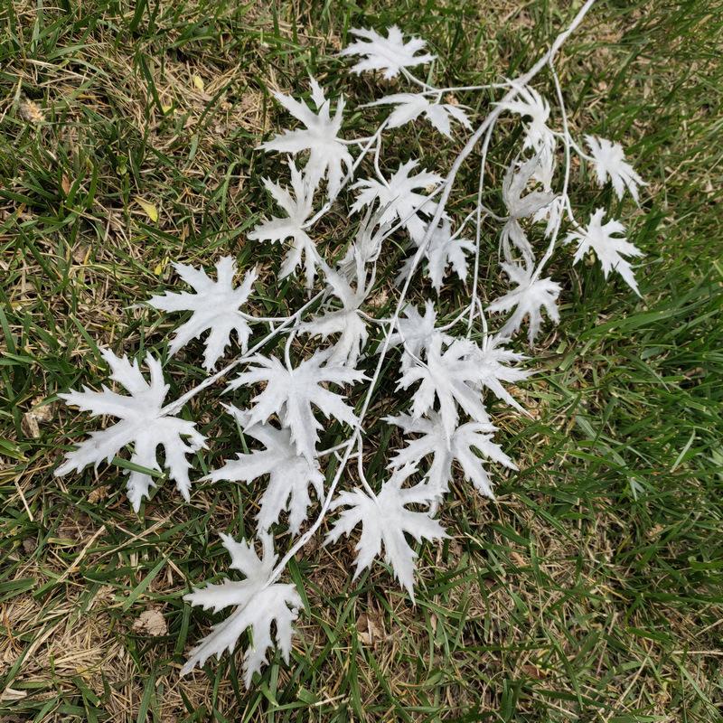Star Fruit Vine Maple Leaf Wedding Simulation Flower Arrangement Wedding Hall Flower Soft Ceiling Decoration Simulat Wholesa 1pc серый
Star Fruit Vine Maple Leaf Wedding Simulation Flower Arrangement Wedding Hall Flower Soft Ceiling Decoration Simulat Wholesa 1pc серый
