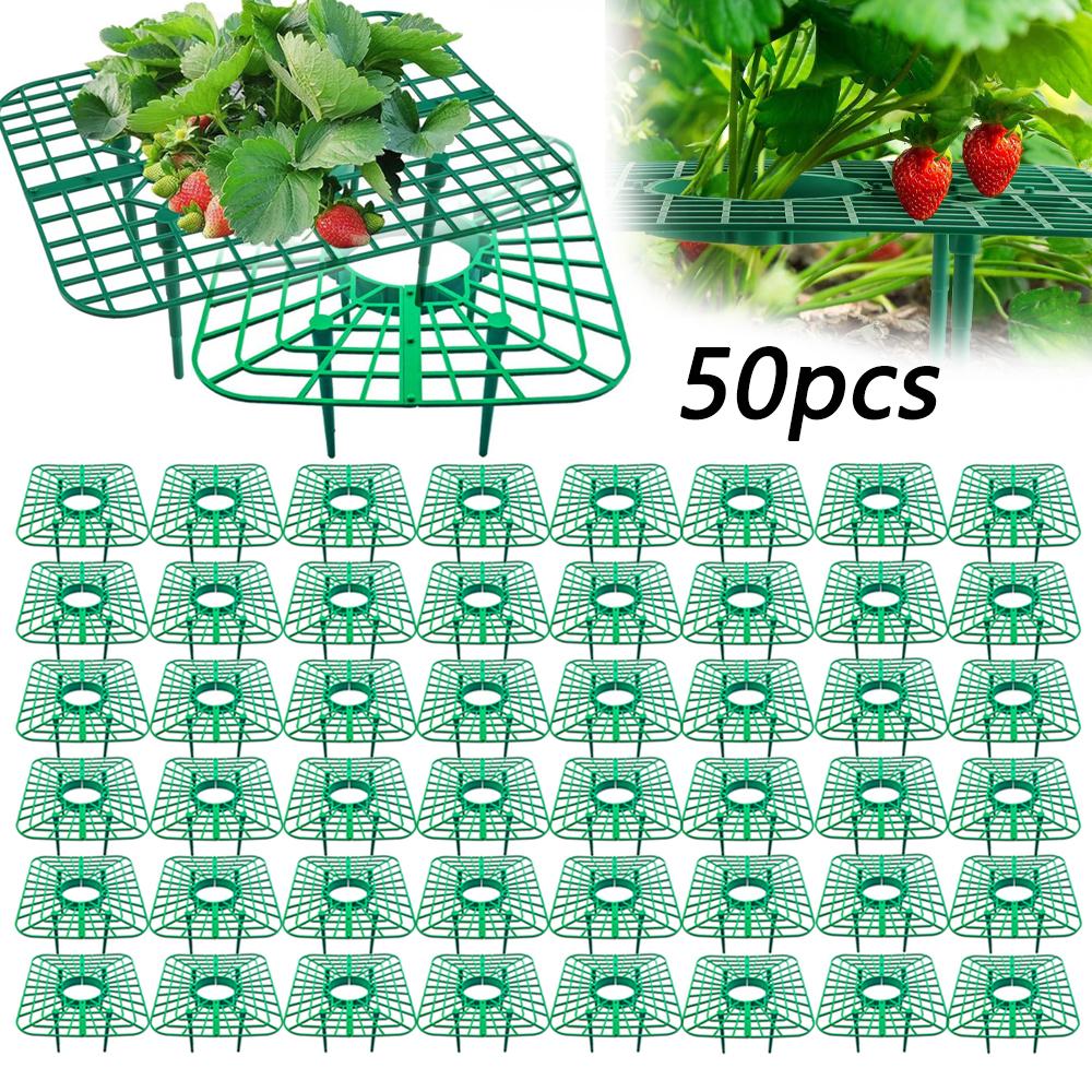 30-50Pcs Plastic Strawberry Rack, Strawberry Tray, Antiseptic Strawberry Planting Rack, Plant Fruit Support Pad, Garden Plant Accessories 30pcs
30-50Pcs Plastic Strawberry Rack, Strawberry Tray, Antiseptic Strawberry Planting Rack, Plant Fruit Support Pad, Garden Plant Accessories 30pcs