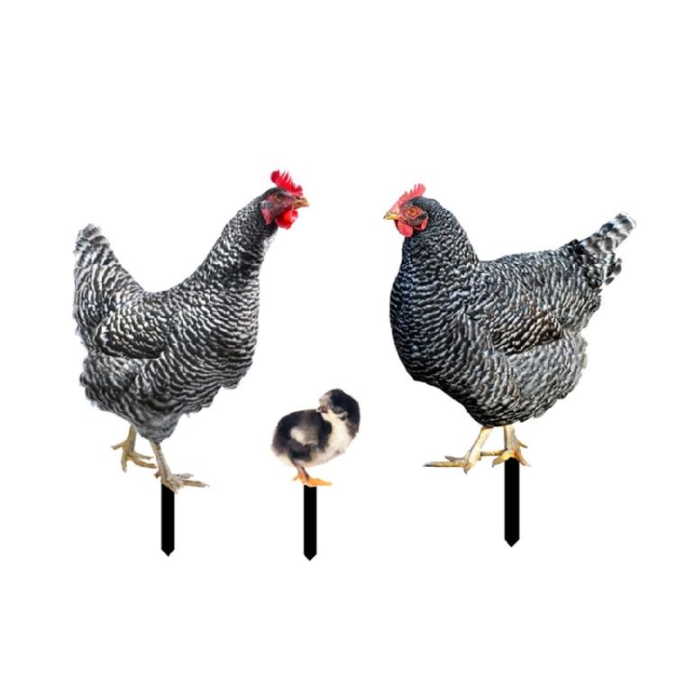 Chicken Garden Stakes Ornaments Garden Insert Yard Lawn Decoration Yard Signs
Chicken Garden Stakes Ornaments Garden Insert Yard Lawn Decoration Yard Signs
