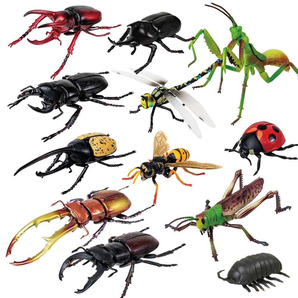 Super realistic big insect 3D puzzle figure 3 all 12 kinds set children beetle insect bug rhinoceros beetle migratory grasshopper dragonfly praying
Super realistic big insect 3D puzzle figure 3 all 12 kinds set children beetle insect bug rhinoceros beetle migratory grasshopper dragonfly praying