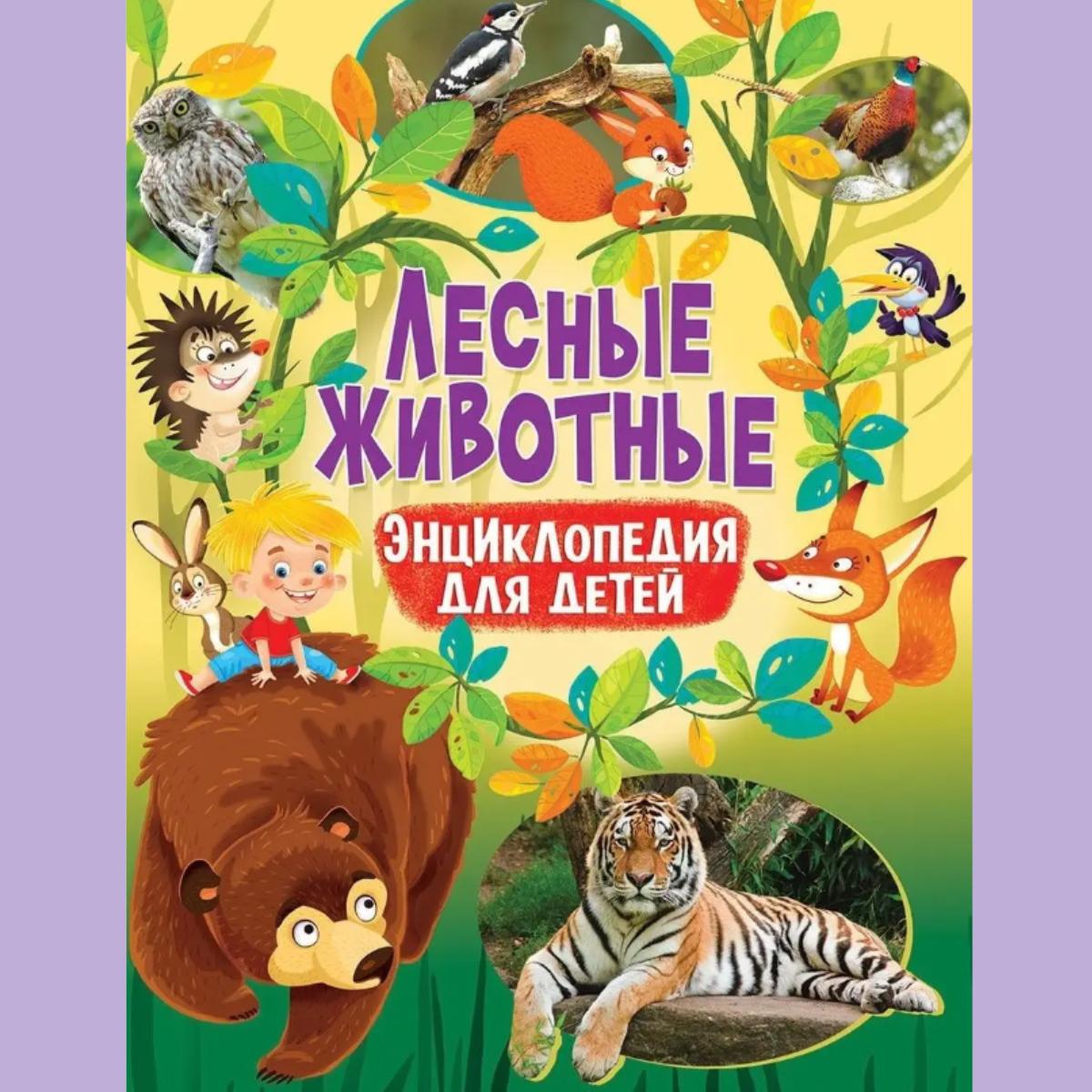 Очаровательные лесные животные России | Развивающая детская книга /Лесные животные. Энциклопедия для детей. Книги для малышей
Очаровательные лесные животные России | Развивающая детская книга /Лесные животные. Энциклопедия для детей. Книги для малышей