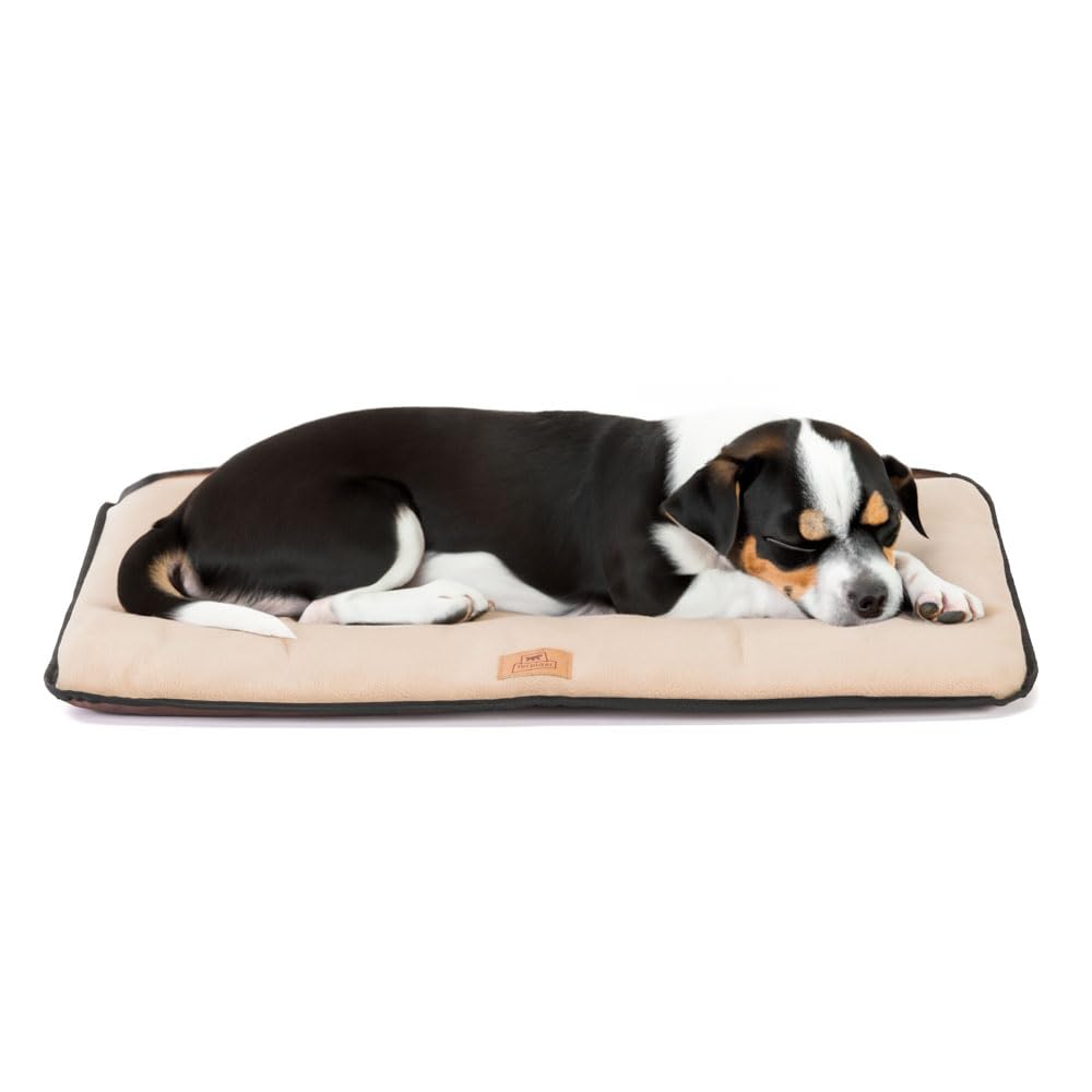 Jolly Micro Fleece 65 Beige Dog Bed House Water Repellent Car Seat Made in Italy by Ferplast бежевий
Jolly Micro Fleece 65 Beige Dog Bed House Water Repellent Car Seat Made in Italy by Ferplast бежевий
