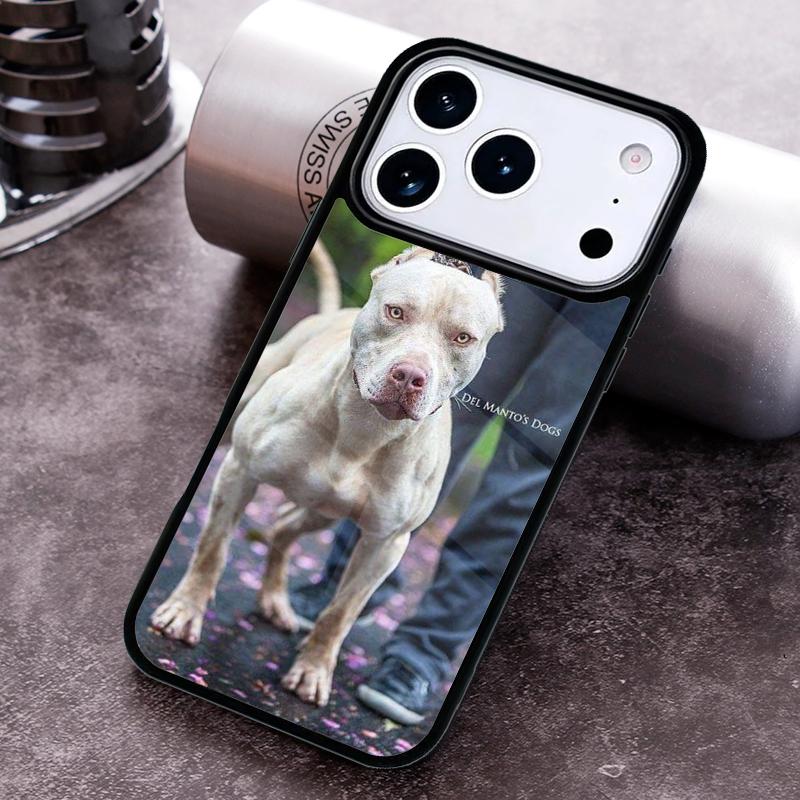Питбуль Милый Домашний Пес Питбуль Мягкий Чехол для Телефона для iPhone 17 16 15 Pro Max Air 14 13 12 11 Plus Ударопрочный Capa Чехол iPhone 15 Plus
Питбуль Милый Домашний Пес Питбуль Мягкий Чехол для Телефона для iPhone 17 16 15 Pro Max Air 14 13 12 11 Plus Ударопрочный Capa Чехол iPhone 15 Plus