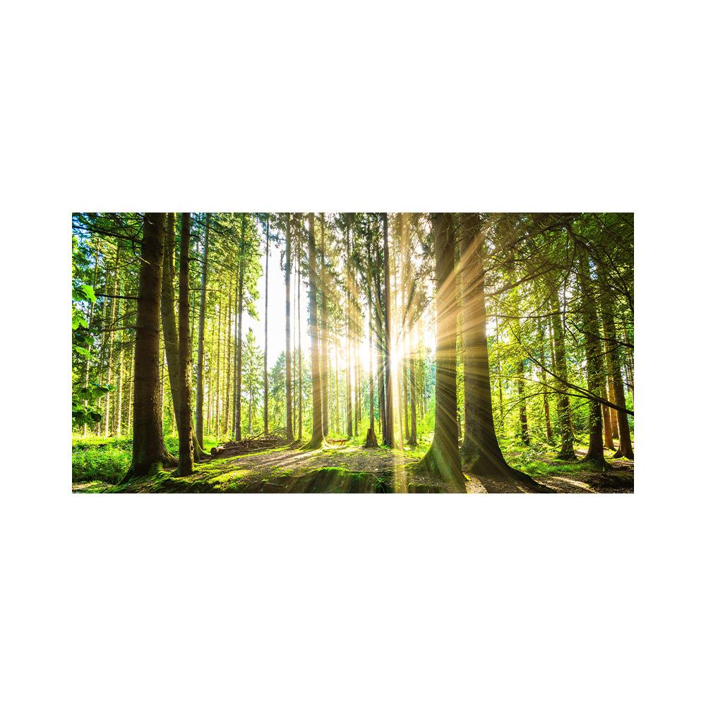 Настенная живопись на холсте «Восход и лес», современные плакаты с природными пейзажами и принты, настенные панно для гостиной, домашний декор 30x60cm
Настенная живопись на холсте «Восход и лес», современные плакаты с природными пейзажами и принты, настенные панно для гостиной, домашний декор 30x60cm