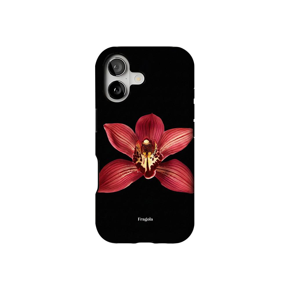 Роскошный чехол Clmj Fragola MILKY для iPhone 17 17e 16e 16 15 14 13 12 11 X XS XR XSMAX Air Pro Max Plus Двухслойный чехол iPhone 15 Pro
Роскошный чехол Clmj Fragola MILKY для iPhone 17 17e 16e 16 15 14 13 12 11 X XS XR XSMAX Air Pro Max Plus Двухслойный чехол iPhone 15 Pro