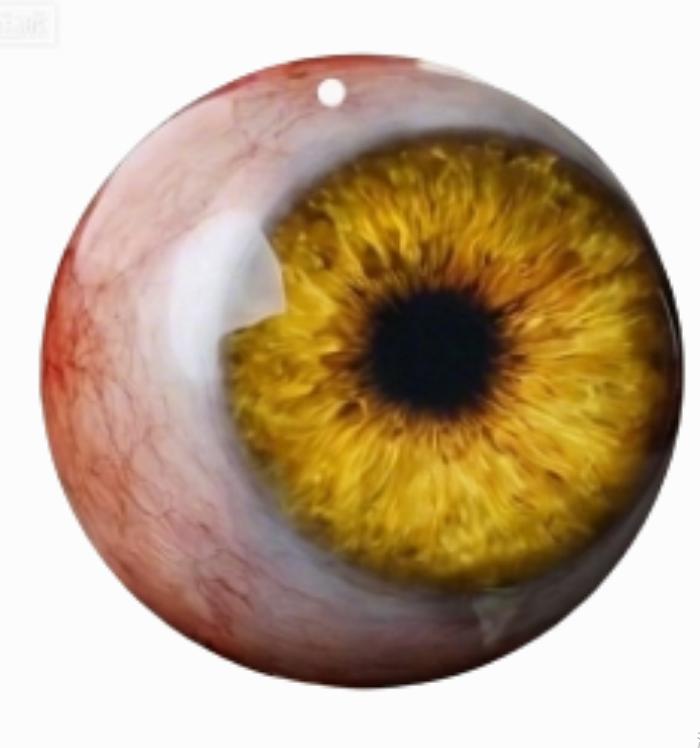 Hyper Realistic Eye Decorative Accessory for Home and Event Display with Detailed Vein Pattern and Textured Surface D жёлтый
Hyper Realistic Eye Decorative Accessory for Home and Event Display with Detailed Vein Pattern and Textured Surface D жёлтый
