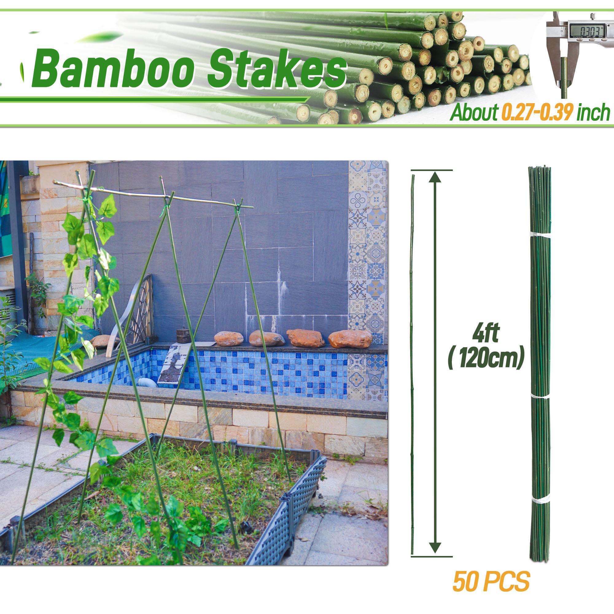 50pcs 4FT Bamboo Plant Stakes,Grden Plant Stakes For Indoor And Outdoor Climbing Plants United States
50pcs 4FT Bamboo Plant Stakes,Grden Plant Stakes For Indoor And Outdoor Climbing Plants United States