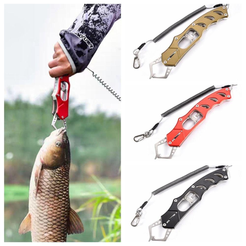 Comfortable Grip Fish Nose Pliers Aluminum Zinc Zinc Alloy Fishing Lip Grip Grabber Fishing Harpoon
Comfortable Grip Fish Nose Pliers Aluminum Zinc Zinc Alloy Fishing Lip Grip Grabber Fishing Harpoon
