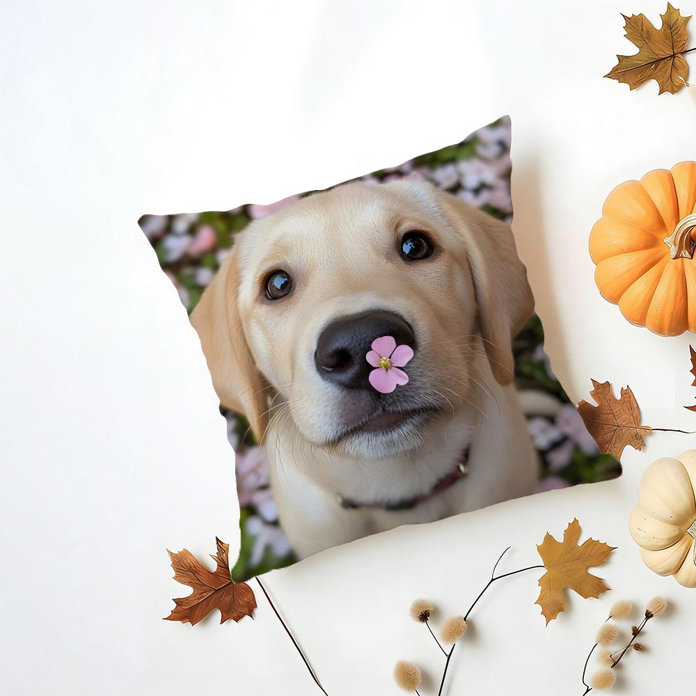 LLabrador Retriever Cushion Cover Washable Linen Pillowcase Soft for Daily Sofa Bed Home Room Decor 30x30cm
LLabrador Retriever Cushion Cover Washable Linen Pillowcase Soft for Daily Sofa Bed Home Room Decor 30x30cm