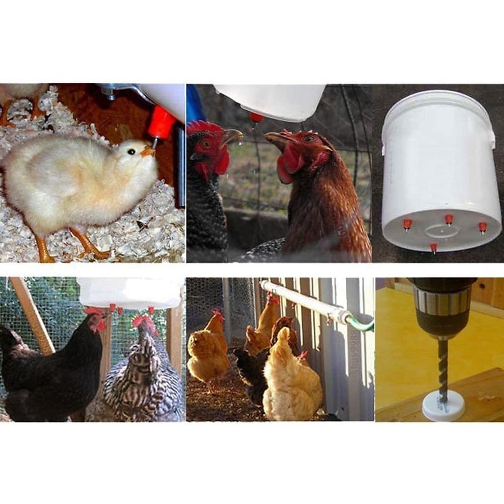 M-Modern-50Pcs Poultry Chicken Nipple Drinker Spring Type Bird With Automatic Water Dispenser Chicken Mouth Bird Drinking Water червоний
M-Modern-50Pcs Poultry Chicken Nipple Drinker Spring Type Bird With Automatic Water Dispenser Chicken Mouth Bird Drinking Water червоний