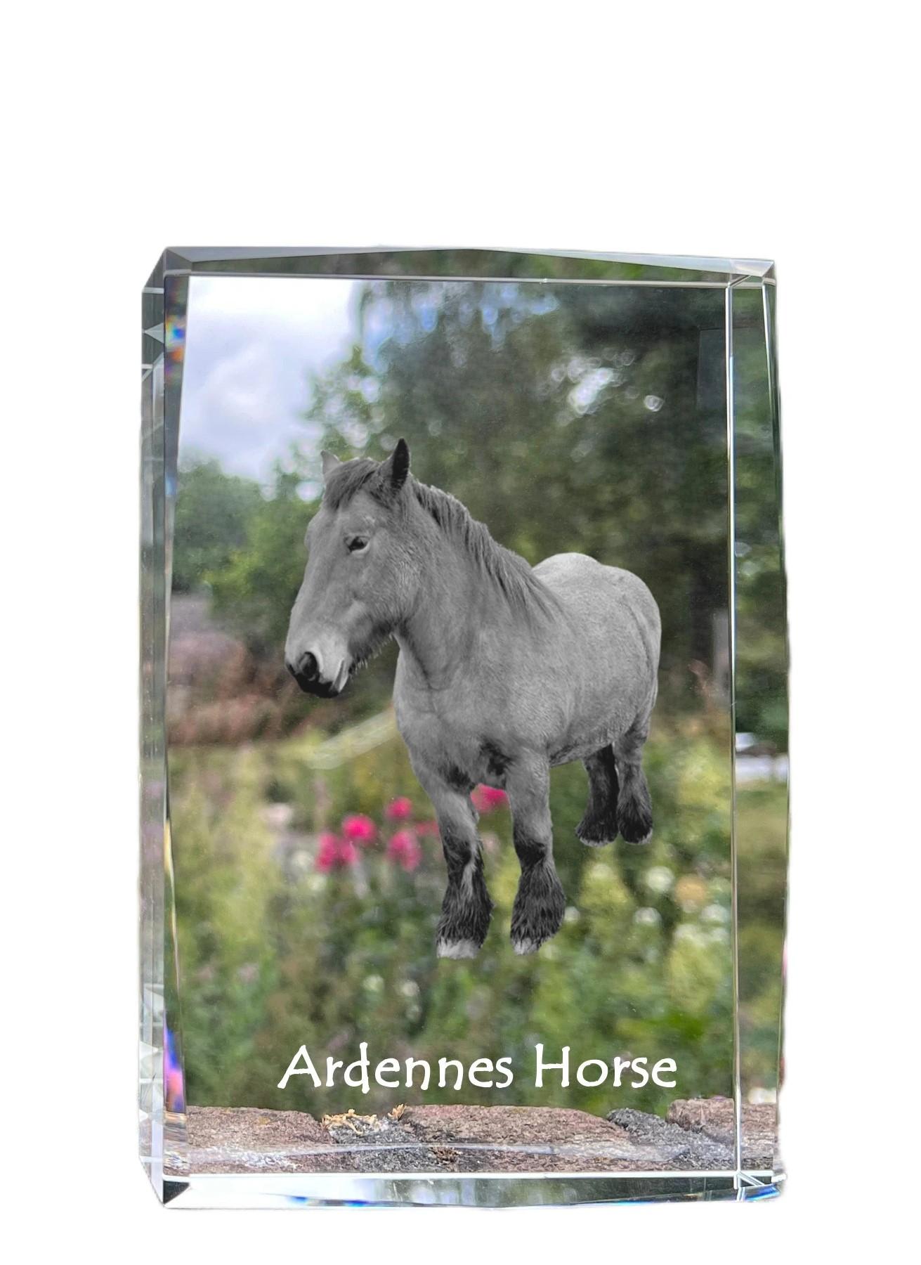 Ardennes Horse - crystal with a picture of a horse, photo in glass, modern exhibition of Art-Dog brand photo прозорий
Ardennes Horse - crystal with a picture of a horse, photo in glass, modern exhibition of Art-Dog brand photo прозорий