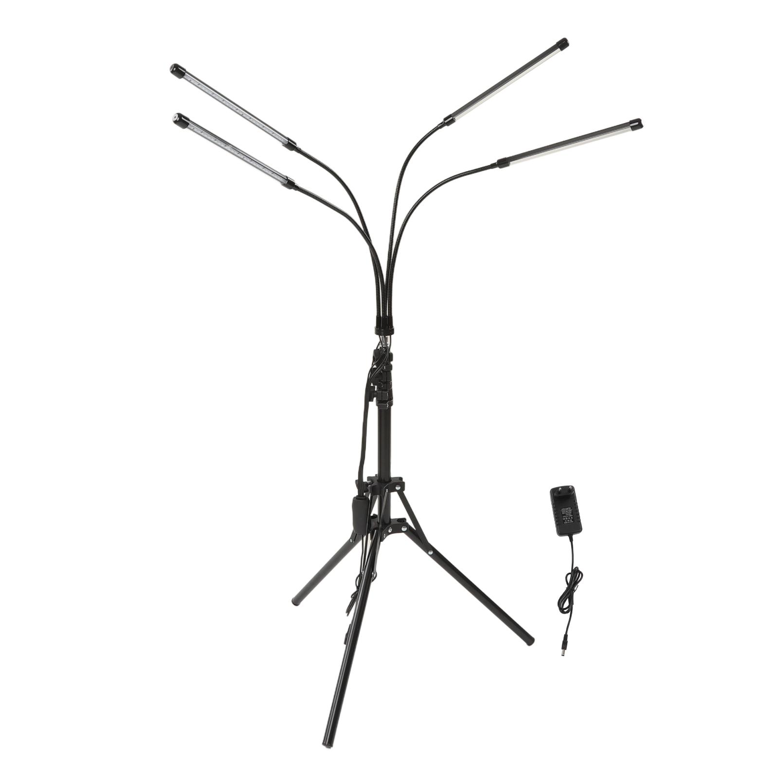 Красный терапевтический прибор 660 нм 850 нм инфракрасная терапевтическая лампа с регулируемой подставкой для боли в теле болезненность
Красный терапевтический прибор 660 нм 850 нм инфракрасная терапевтическая лампа с регулируемой подставкой для боли в теле болезненность