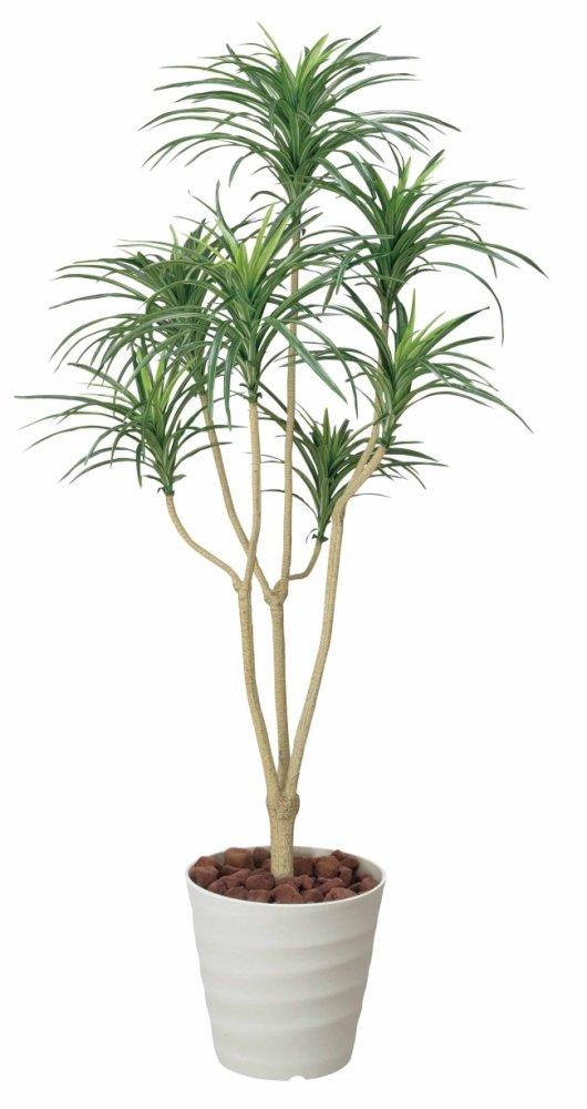 Фотокаталитическое искусственное декоративное растение Light Paradise Yucca 173A250 1.6м зелёный
Фотокаталитическое искусственное декоративное растение Light Paradise Yucca 173A250 1.6м зелёный