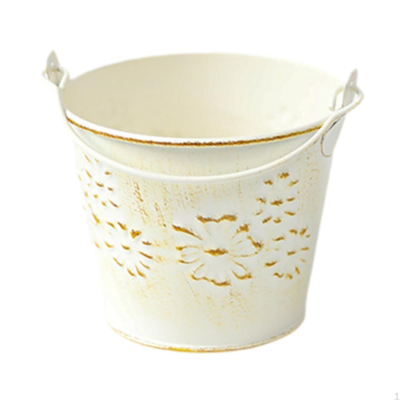 10x8 см железное ведро для растений для домашнего использования в контейнерном саду Flower Pattern
10x8 см железное ведро для растений для домашнего использования в контейнерном саду Flower Pattern