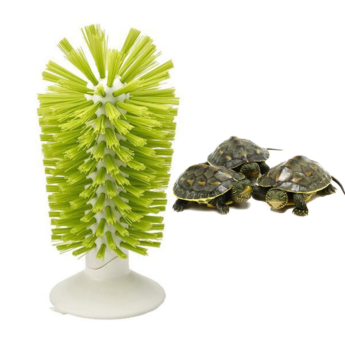 Turtle Tank Scrub Brush with Suction Cups Amphibian Reptile Shell Cleaning Exfoliation Tool for Removing Scutes Promoting Health зелёный
Turtle Tank Scrub Brush with Suction Cups Amphibian Reptile Shell Cleaning Exfoliation Tool for Removing Scutes Promoting Health зелёный