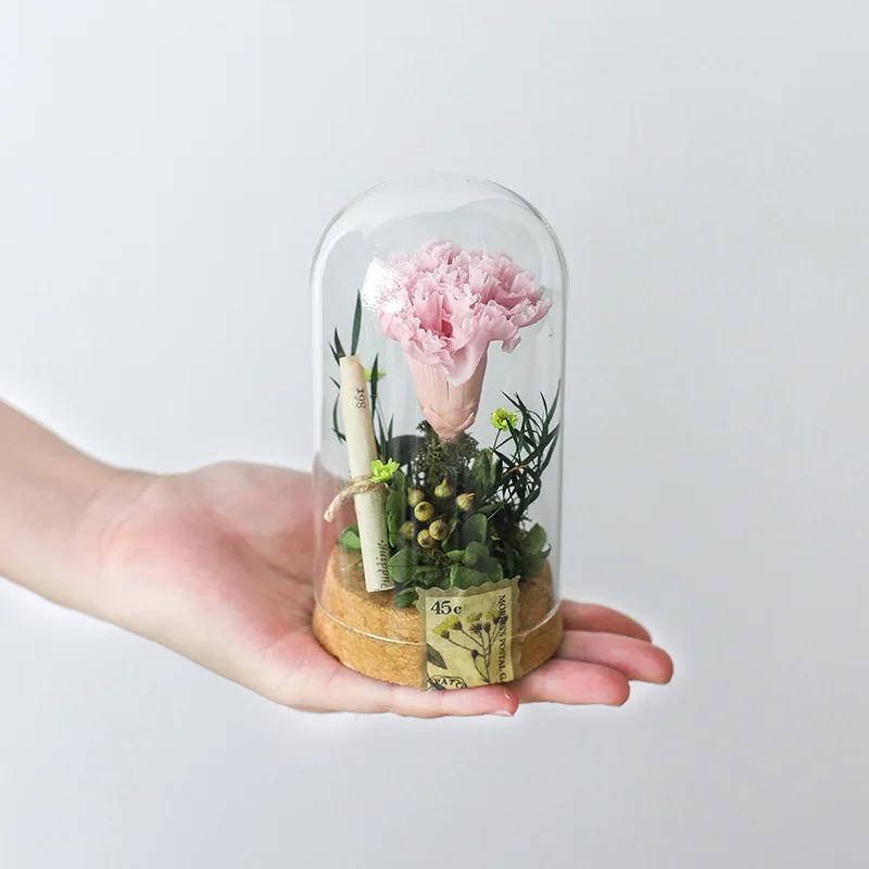 DIY Material Package Eternal Flowers Wishing Vase Dandelion Carnation Valentine S Day Mother S Day Special Romantic Gift
DIY Material Package Eternal Flowers Wishing Vase Dandelion Carnation Valentine S Day Mother S Day Special Romantic Gift