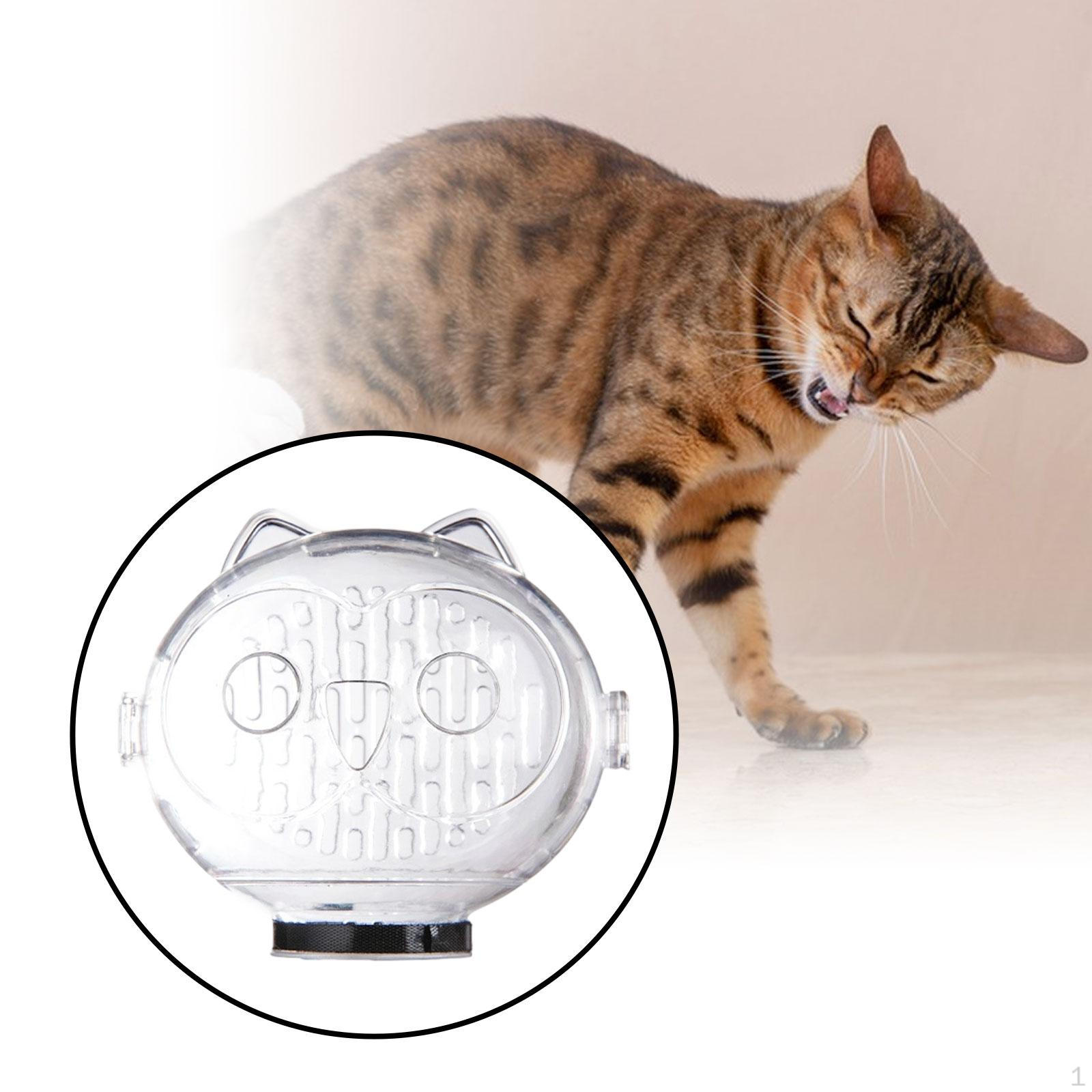 Намордник для кошки, маска для ухода за пастью питомца, легкий, защитный, дышащий, для дома, путешествий
Намордник для кошки, маска для ухода за пастью питомца, легкий, защитный, дышащий, для дома, путешествий