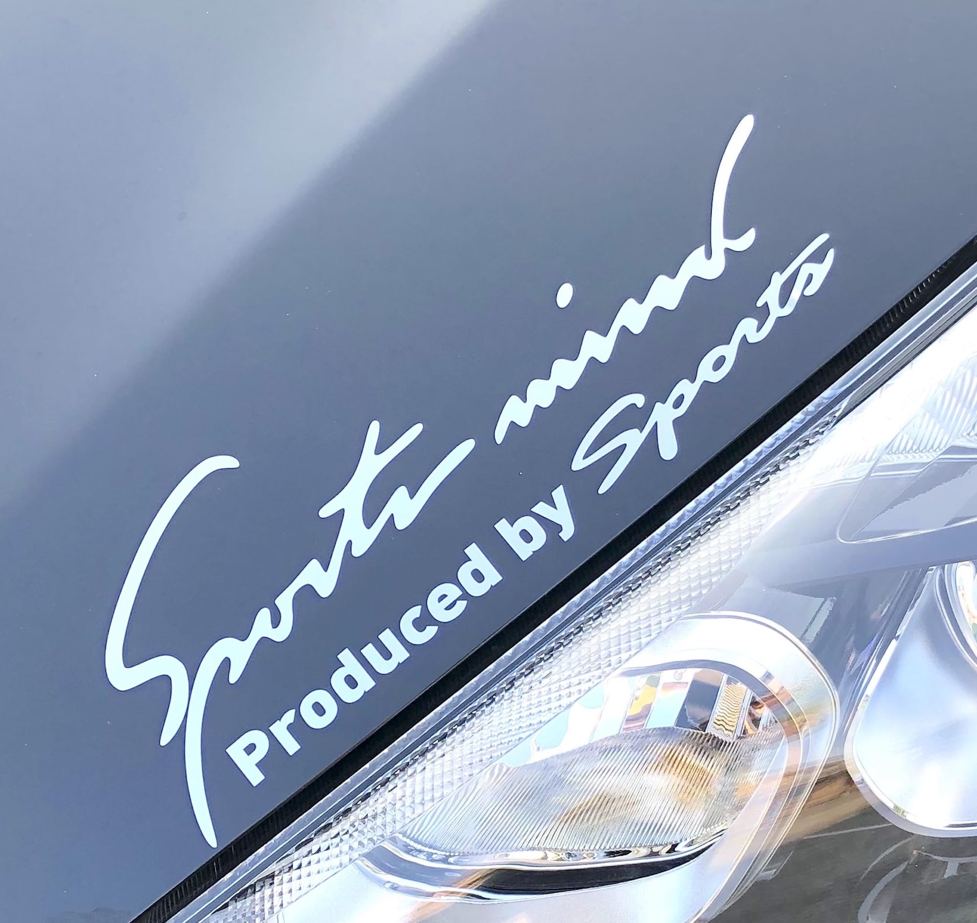 Sports Mind Sticker for Cars and Motorcycles, Decal, Universal, Side, Vehicle Customization, 8 Colors, SS size 14 x 4.8cm серебряный
Sports Mind Sticker for Cars and Motorcycles, Decal, Universal, Side, Vehicle Customization, 8 Colors, SS size 14 x 4.8cm серебряный