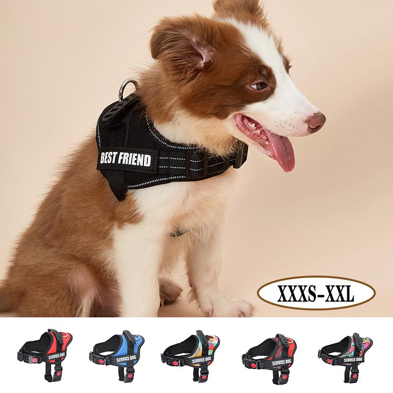 Small And medium Dog Harness Vest Custom patches Multicolor Print Puppy Harness Outdoor Training Walking Dog Harness Pet Harness XXXS(no handle)
Small And medium Dog Harness Vest Custom patches Multicolor Print Puppy Harness Outdoor Training Walking Dog Harness Pet Harness XXXS(no handle)