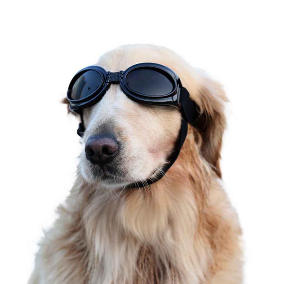 Pet Sunglasses Eye Wear Fashion Cool Foldable Adjustable Cat Dog Goggles Toys
Pet Sunglasses Eye Wear Fashion Cool Foldable Adjustable Cat Dog Goggles Toys