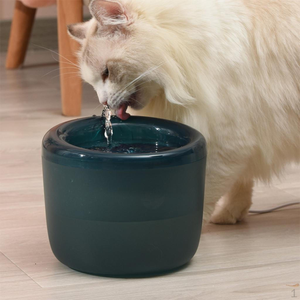 1.6L Automatic Cat Water Fountain Pet Drinking Dispenser Supplies Gray зелёный
1.6L Automatic Cat Water Fountain Pet Drinking Dispenser Supplies Gray зелёный