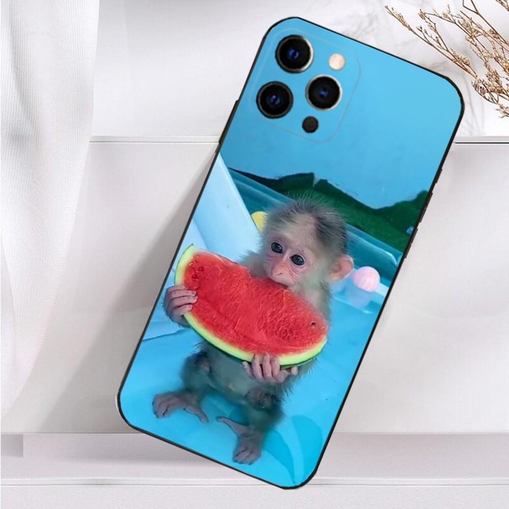 Милый Забавный Чехол-Обезьянка для iPhone 16,15,14,13,12,11 Plus,Pro Max,XS,X,XR,SE,Mini,8,7 Мягкий Силиконовый Черный Чехол iPhone13mini
Милый Забавный Чехол-Обезьянка для iPhone 16,15,14,13,12,11 Plus,Pro Max,XS,X,XR,SE,Mini,8,7 Мягкий Силиконовый Черный Чехол iPhone13mini