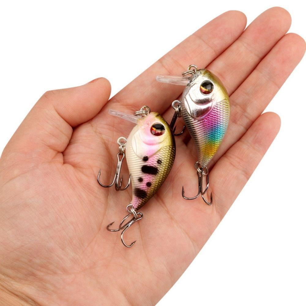 Crankbait Simulation Fishing Lure with Hook Fishing Bait Jerkbait Floating Hard Bait Black Fish
Crankbait Simulation Fishing Lure with Hook Fishing Bait Jerkbait Floating Hard Bait Black Fish
