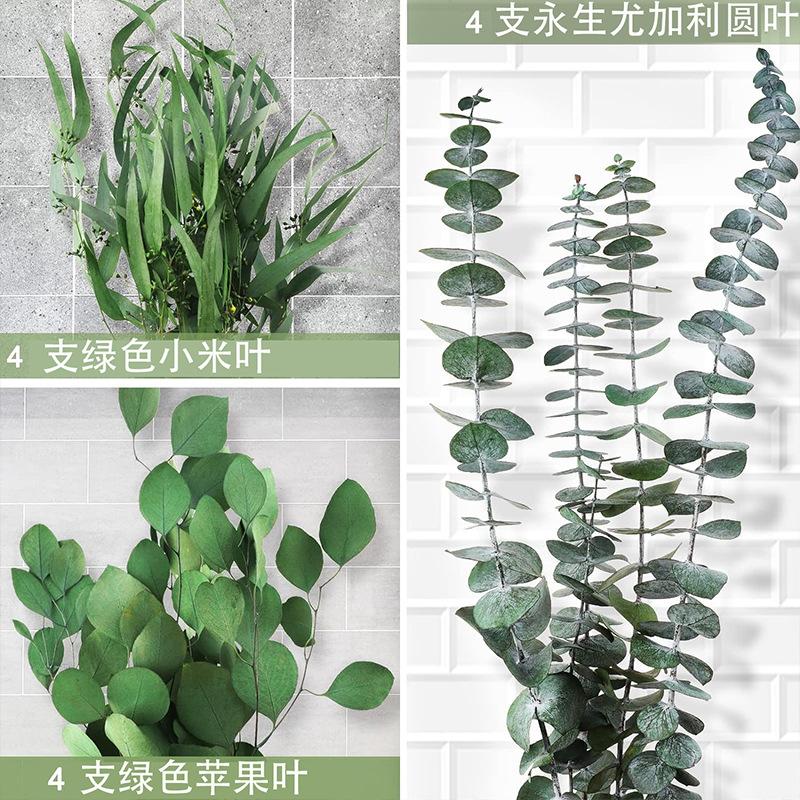 Вечная ветка эвкалипта Яблоневый лист Смешанный букет из листьев эвкалипта Домашняя цветочная композиция Свадебное украшение Натуральный цветок