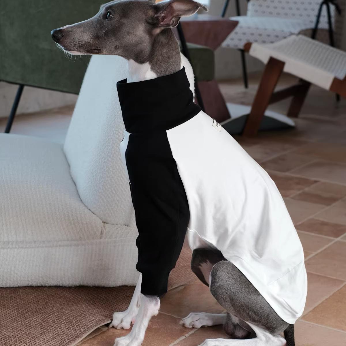 Italian Greyhound Cotton Raglan Jumpsuit , Integrated Elbow Support Pads | Fits Whippet Long Sleeve Tee | Premium Combed Cotton 2
Italian Greyhound Cotton Raglan Jumpsuit , Integrated Elbow Support Pads | Fits Whippet Long Sleeve Tee | Premium Combed Cotton 2