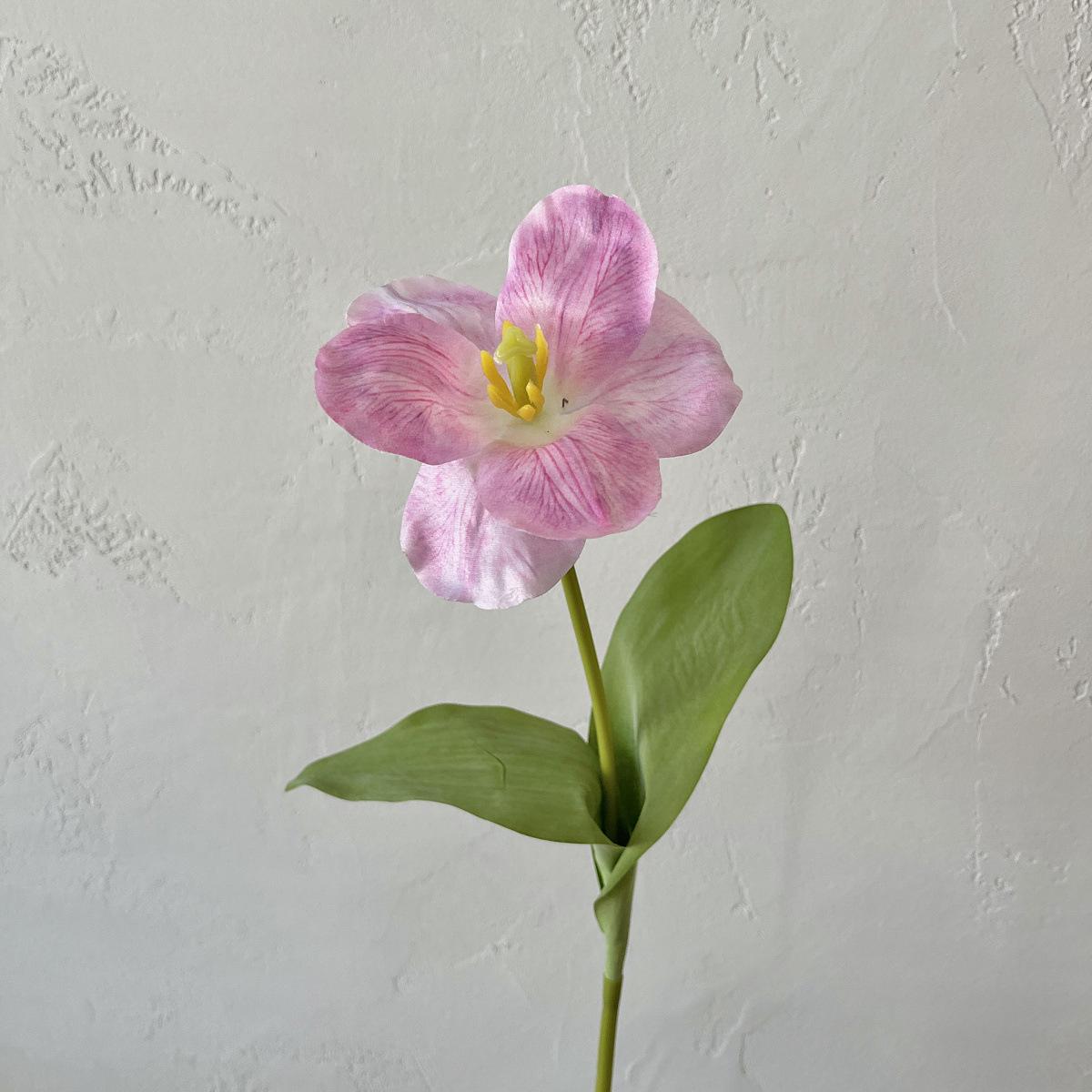 Brownie Tulip Silk Artificial Flower Arrangement for Home and Wedding Decor
Brownie Tulip Silk Artificial Flower Arrangement for Home and Wedding Decor