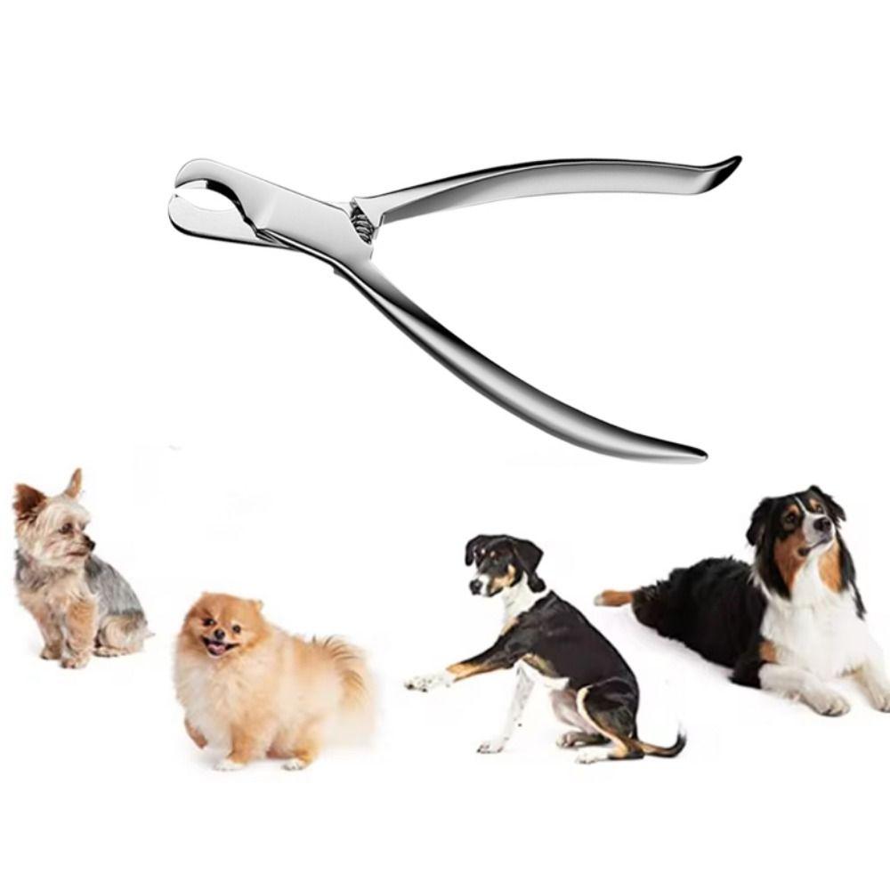 Stainless Steel Dog Nail Trimmers Wear Resistant Pet Toe Trimmer Pet Nail Clipper for Cleaning серебряный
Stainless Steel Dog Nail Trimmers Wear Resistant Pet Toe Trimmer Pet Nail Clipper for Cleaning серебряный