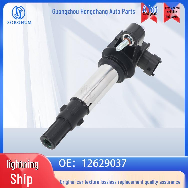 Ignition Coil High Voltage Pack for Cadillac CTS & Buick Auto Parts (12629037) SORGHUM
Ignition Coil High Voltage Pack for Cadillac CTS & Buick Auto Parts (12629037) SORGHUM