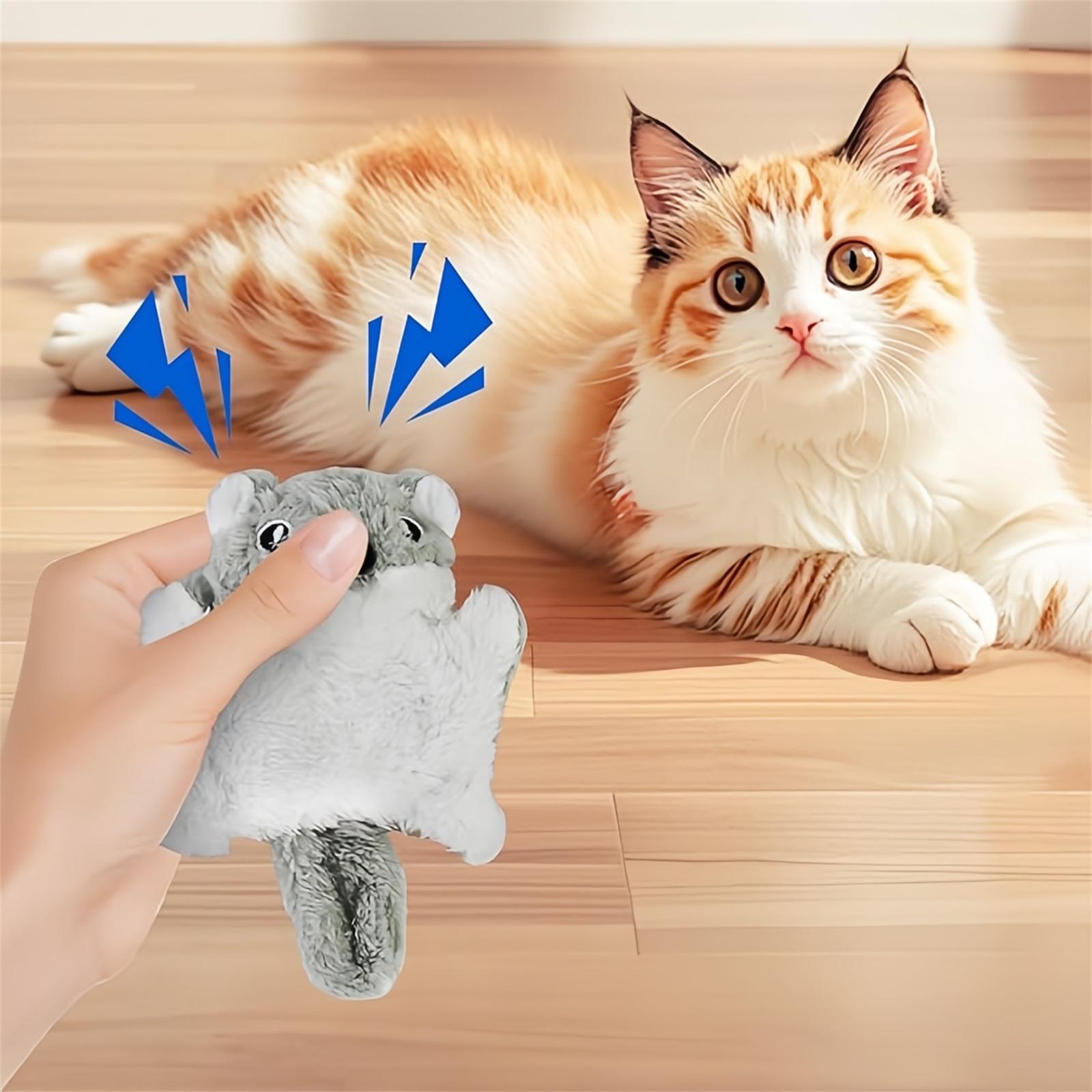 Andiker Plush Toy, Cute Flying Squirrel Shape Chew Toys With Whistle & Crinkle Paper, Interactive Toys For Indoor S And Kittens To Scratch One Size
Andiker Plush Toy, Cute Flying Squirrel Shape Chew Toys With Whistle & Crinkle Paper, Interactive Toys For Indoor S And Kittens To Scratch One Size