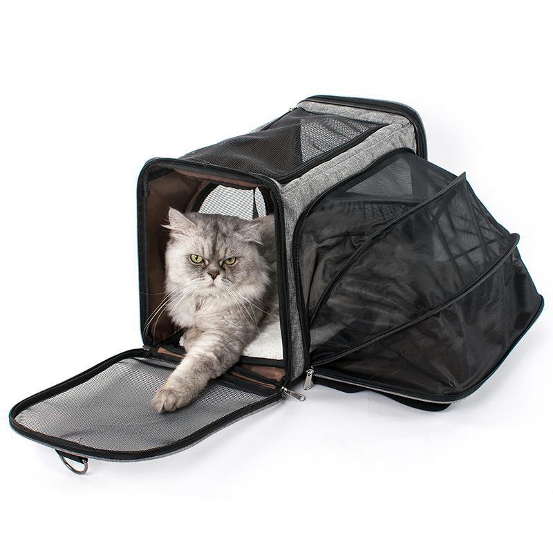 Портативная складная сумка для путешествий для кошек и маленьких собак - расширяемая и удобная для автомобиля
Портативная складная сумка для путешествий для кошек и маленьких собак - расширяемая и удобная для автомобиля